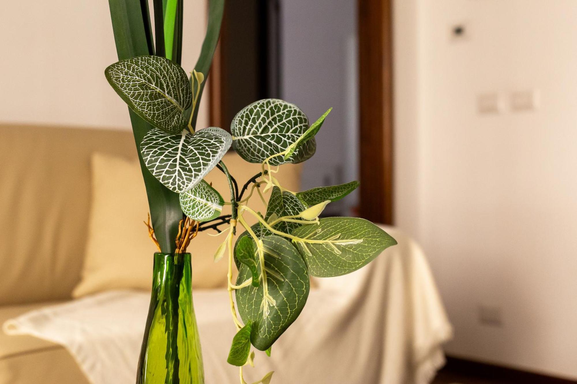 Iflat Vatican Spacious Apartment With Terrace Roma Esterno foto
